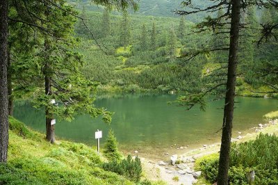 Staw Lacu Sureanu