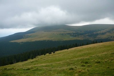 Vf. Lui Patru