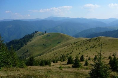 Grzbiety w stronę Valea Sadului, w tle wsch. Lotru