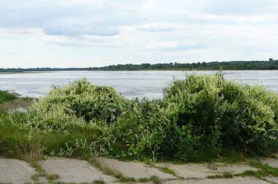 g6/19/740719/3/85099549.pEo2Ugl8.jpg