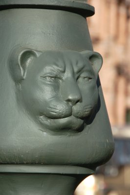 Puma on a street lamp