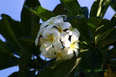 IMG_0487.jpg