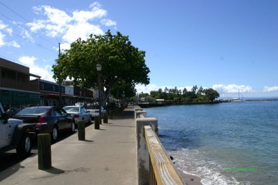 IMG_0706.jpg