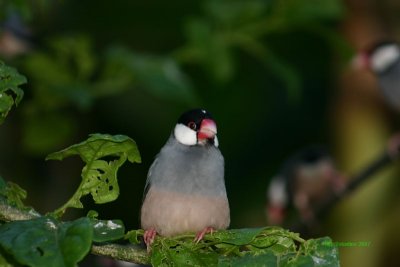 IMG_0863.jpg
