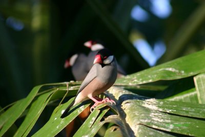 IMG_0873.jpg