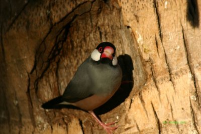 IMG_0878.jpg