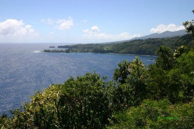IMG_1131.jpg