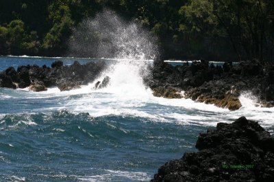 IMG_1199.jpg