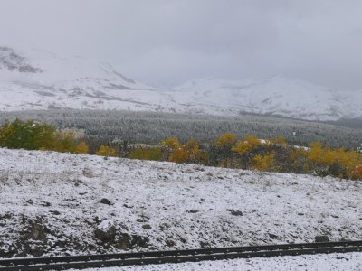 Snowing near East Glacier