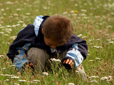 2007-07-30 Oliver looking at ants