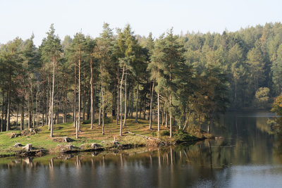 Tarn Hows