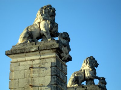 Arles Lions.jpg