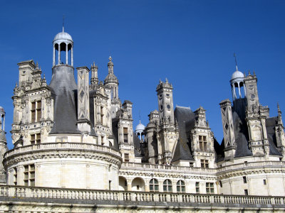Chambord Roofscape.jpg