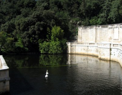 Pond with Swans - Nimes.jpg