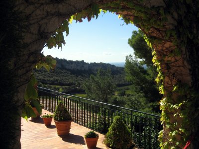 Vineyard Arch.jpg