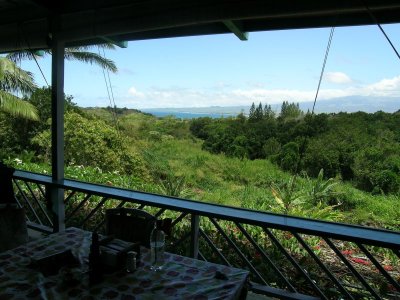View from the Lanai.jpg