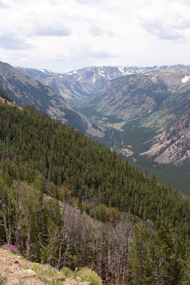 IMG_2589 copy.jpg