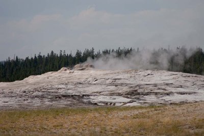IMG_2679 copy.jpg
