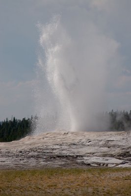 IMG_2680 copy.jpg