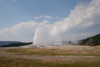 IMG_2688 copy.jpg