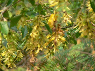 P1020157.JPG
