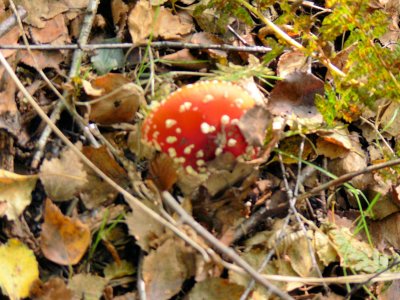 P1020160.JPG