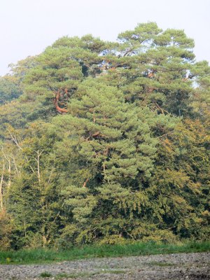 P1020166.JPG