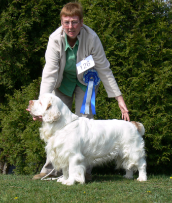 USA open show 2007002.png