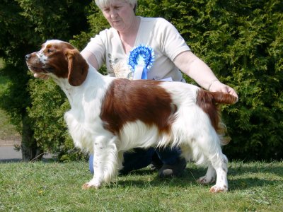 USA open show 2007065.JPG