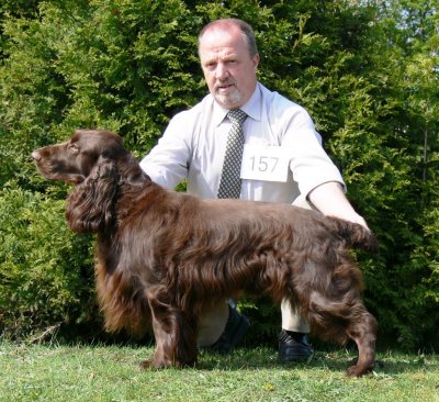 USA open show 2007067.JPG