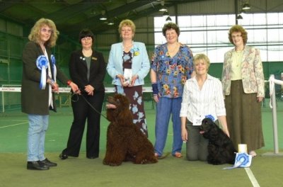 USA open show 2007072.JPG