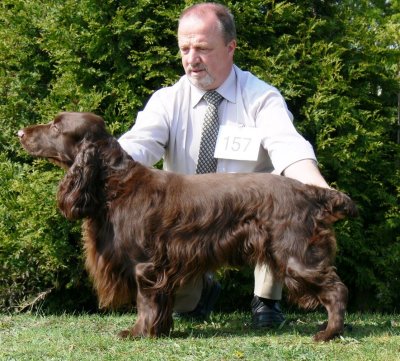 USA open show 2007077.JPG