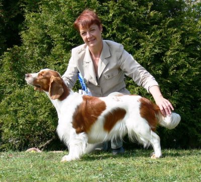 USA open show 2007087.JPG