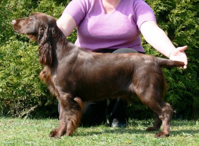 USA open show 2007095.JPG