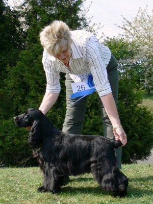 USA open show 2007154.JPG