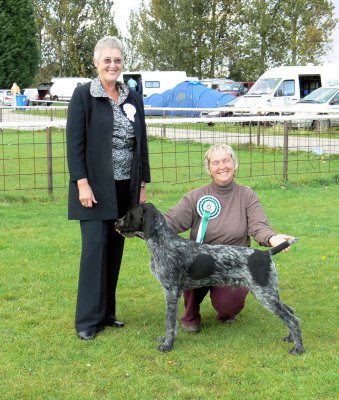 Leicestershire Gundog 059.JPG