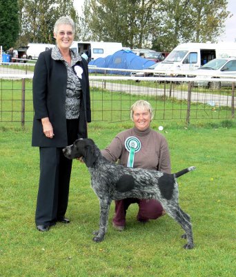 Leicestershire Gundog 063.JPG