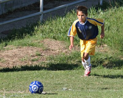 P_2090.jpg