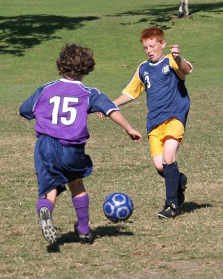 P_2195.jpg