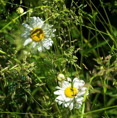 g6/20/248920/3/80293031.VUhklDuX.jpg