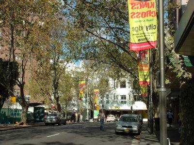 Banners in Macleay Street
