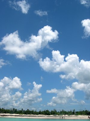 g6/20/273920/3/85331316.yJdAniyF.jpg