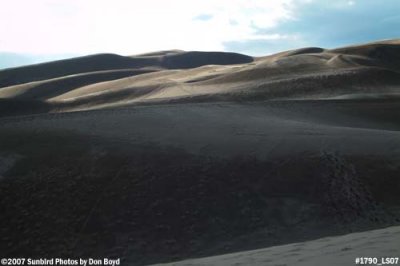 2007 - Great Sand Dunes National Park stock photo #1790