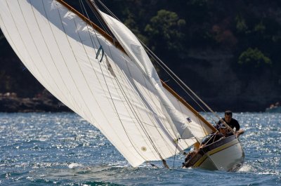 g6/20/423820/3/82519825.8xH6Zb7M.jpg