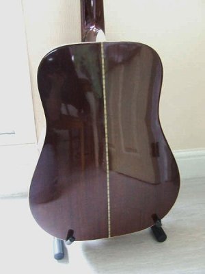 12-string Back (Steve)