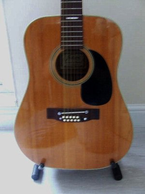 Steve's 12-String