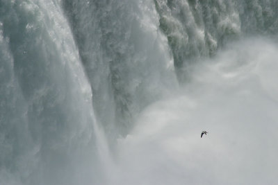 Niagara Falls