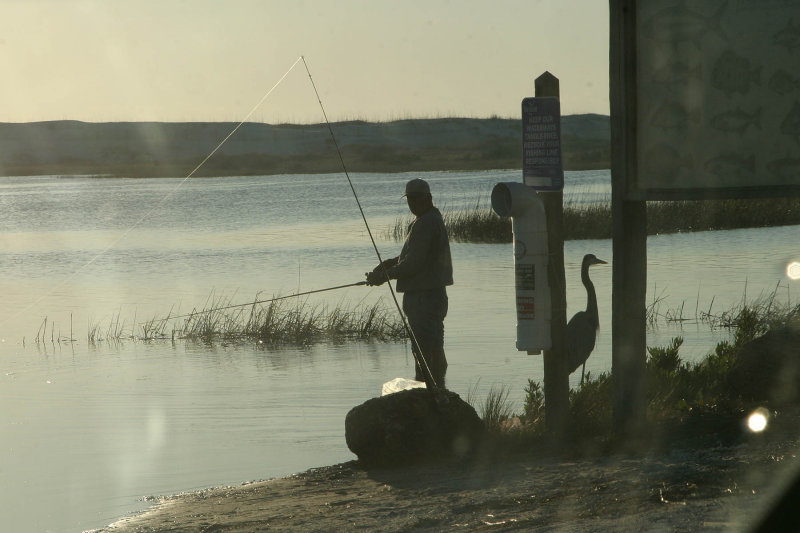 Fisherman and friend, very early morning, St. Augustine beach, March 06.  (Go to page 2!!)
