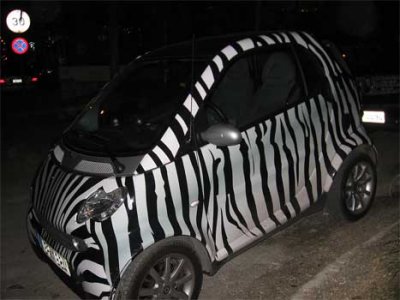 We saw a number of fashionably-dressed Smart Cars in Athens.