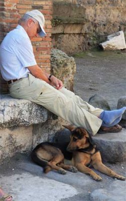 There were a number of stray dogs at Pompeii - stray dogs and cats are not uncommon in Italy and Greece